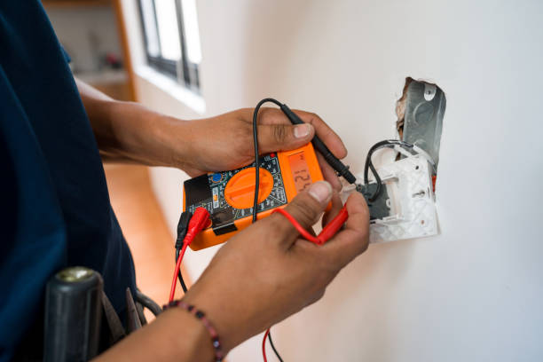 Best Electric Panel Repair  in Livonia, LA